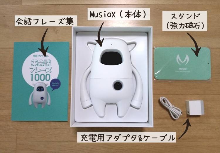 Musio Englishセット内容